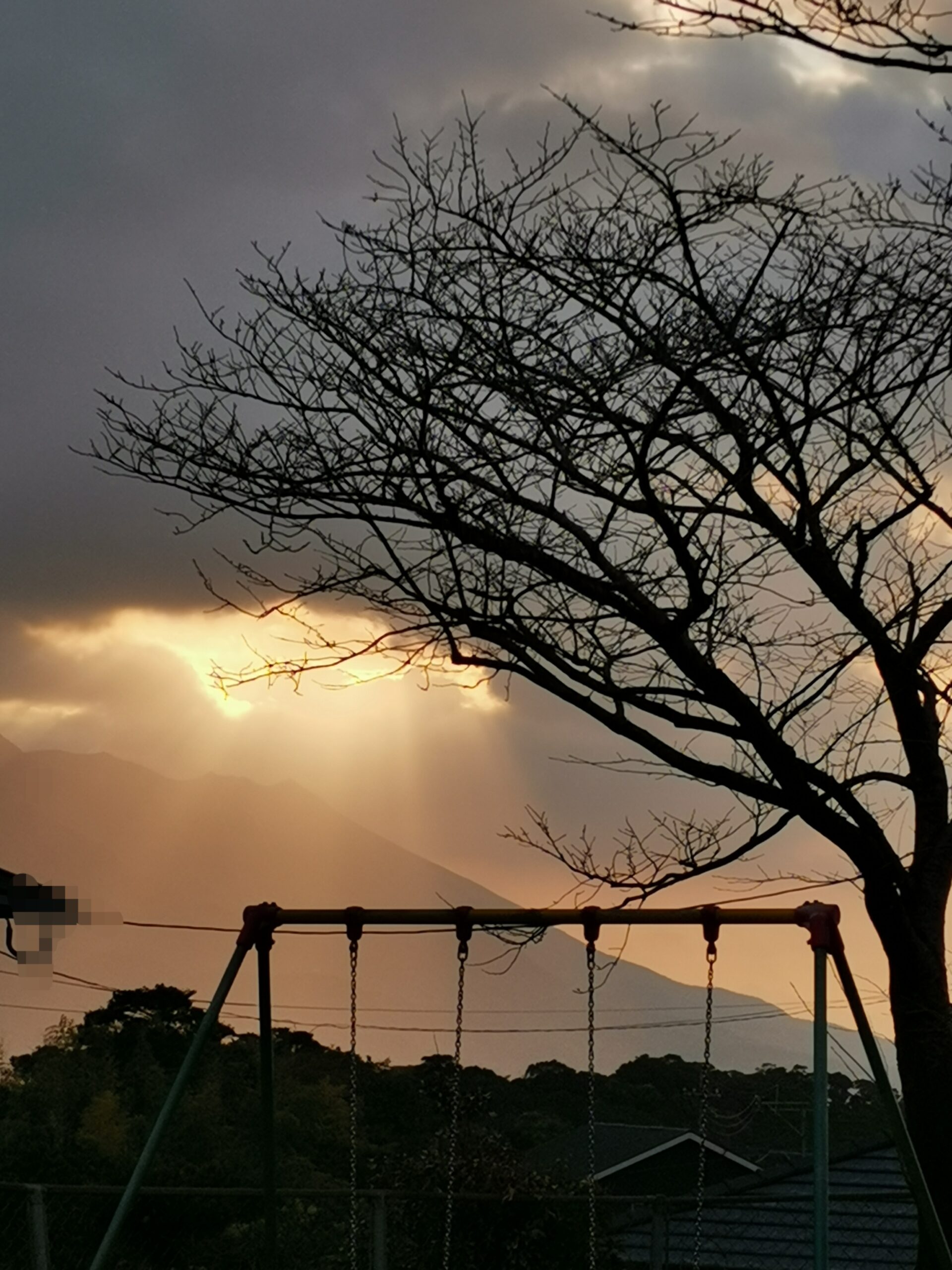 今年、最後の月が始まりました