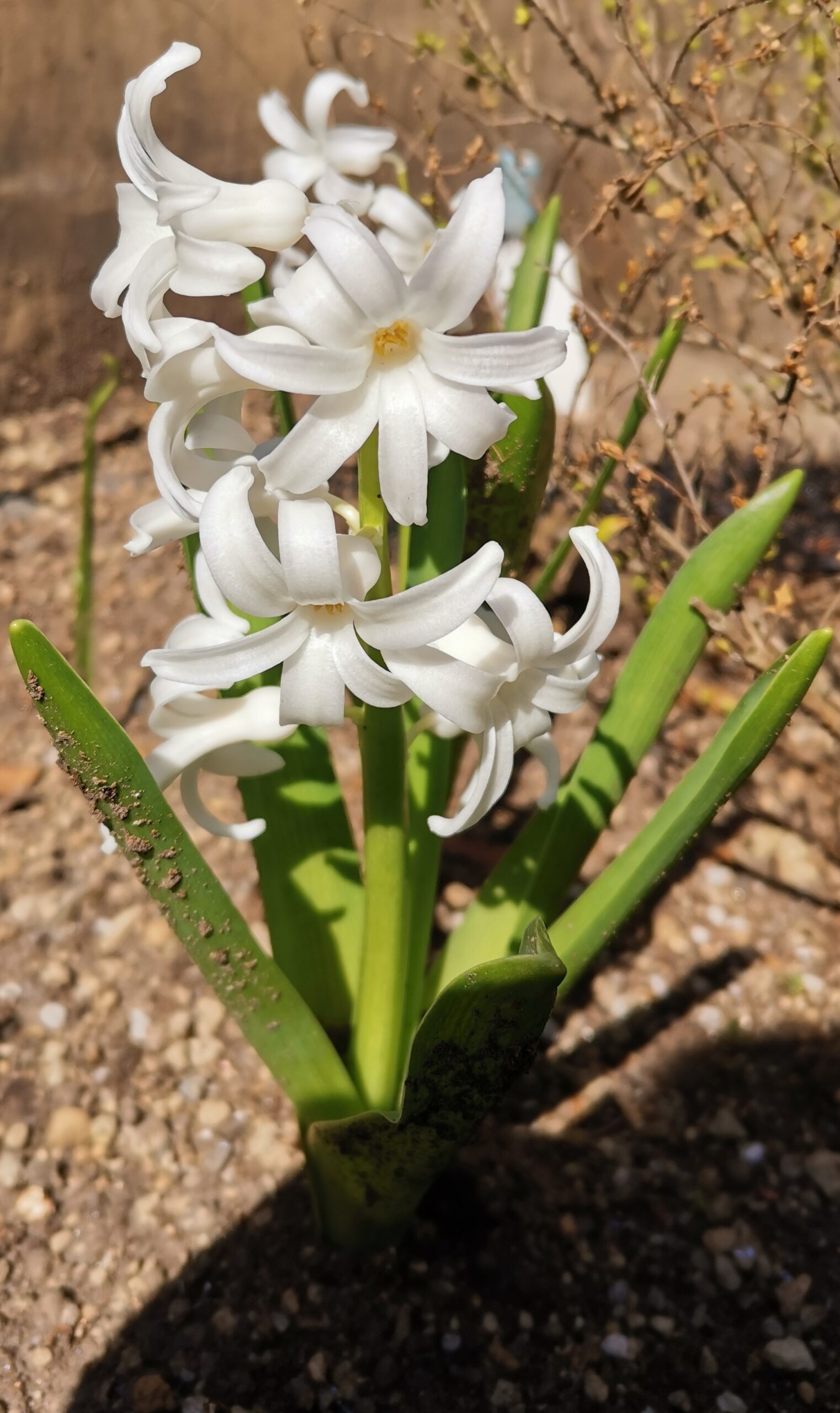 人へ(人の為に)